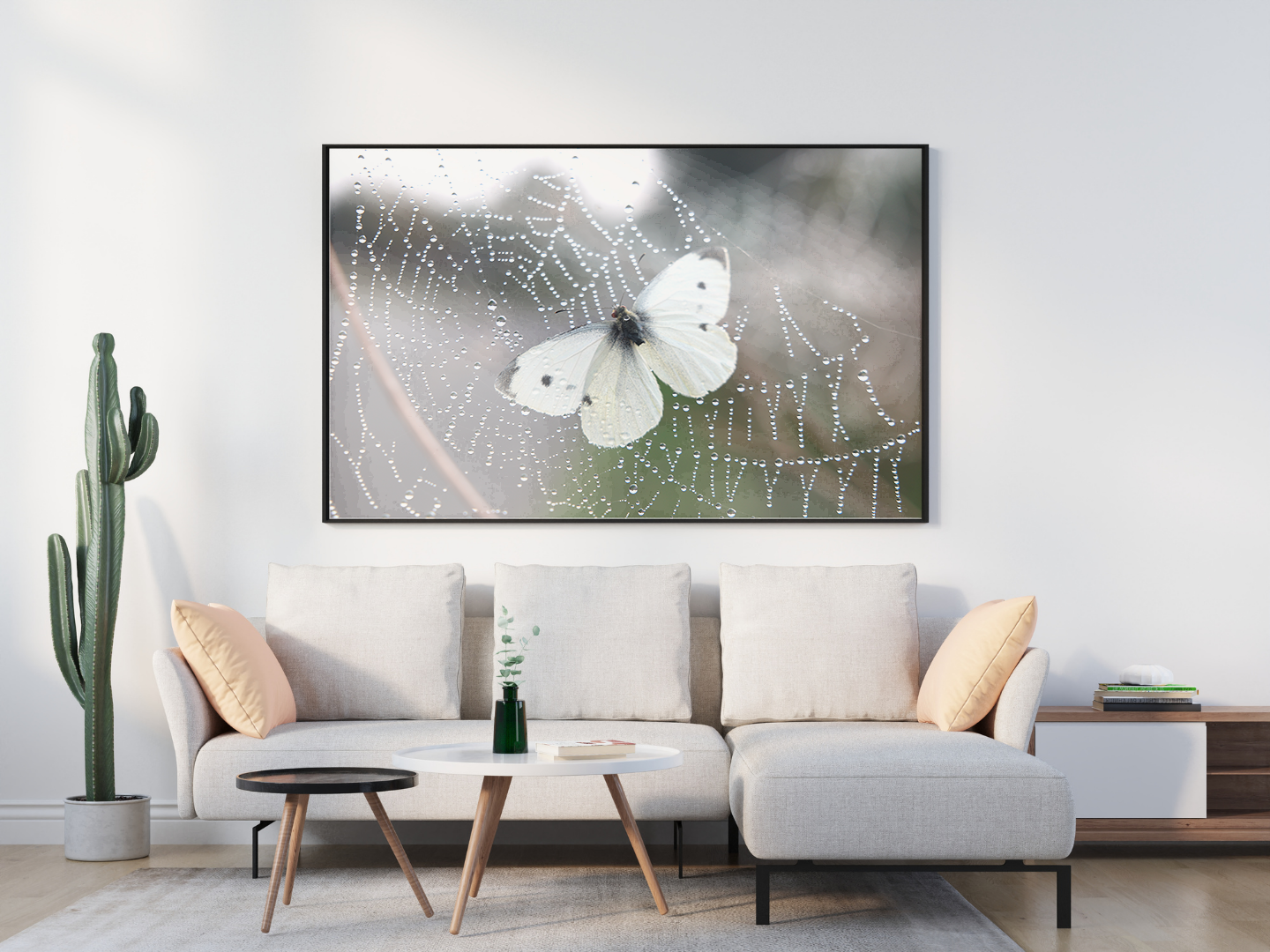 Cabbage White Butterfly original abstract contextualised office art modern decor photo print by Blair Montague Drake